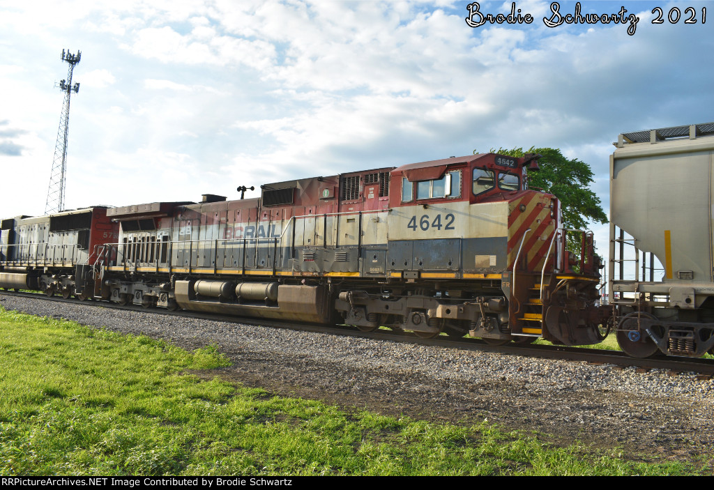 BCOL 4642